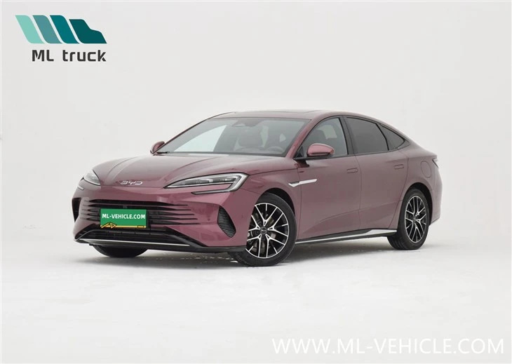 BYD tesnenie DM-i