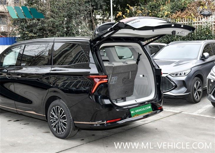 2024 DongFeng Forthing U-Tour V9 PHEV MPV