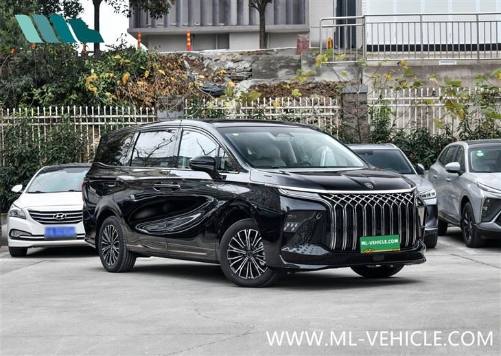 2024 DongFeng Forthing U-Tour V9 PHEV MPV