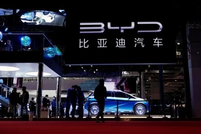 China's Electric Vehicle Sales in Europe Plunge 48% Year-on-Year in August, B...