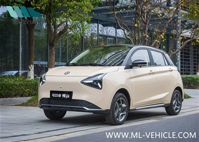 2024 EvHouse YUE 01 Mini EV