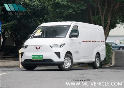 2024 SAIC GM WuLing YangGuang EV dodávka